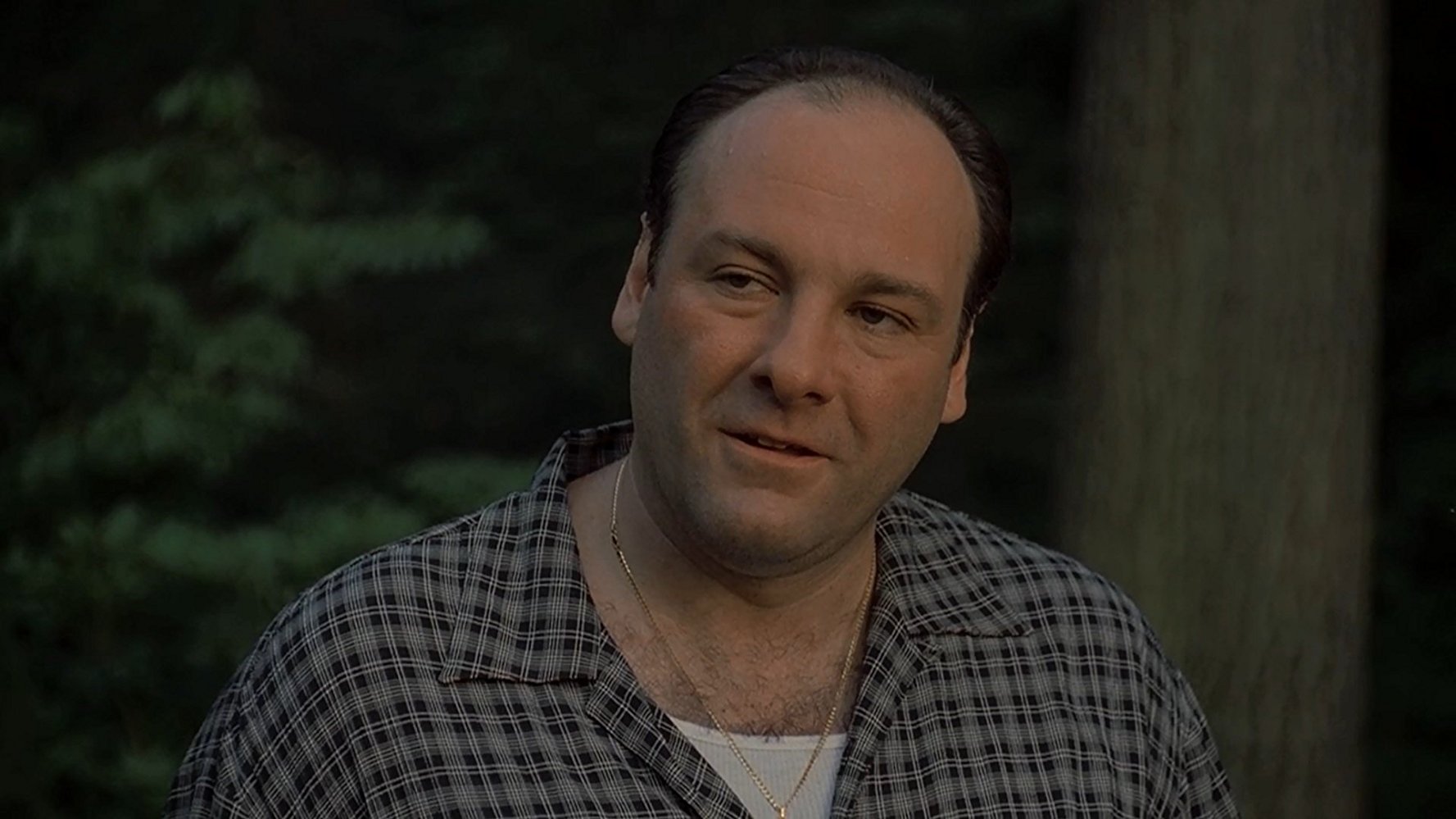 tony-soprano-character-list-movies-the-sopranos-season-1-the