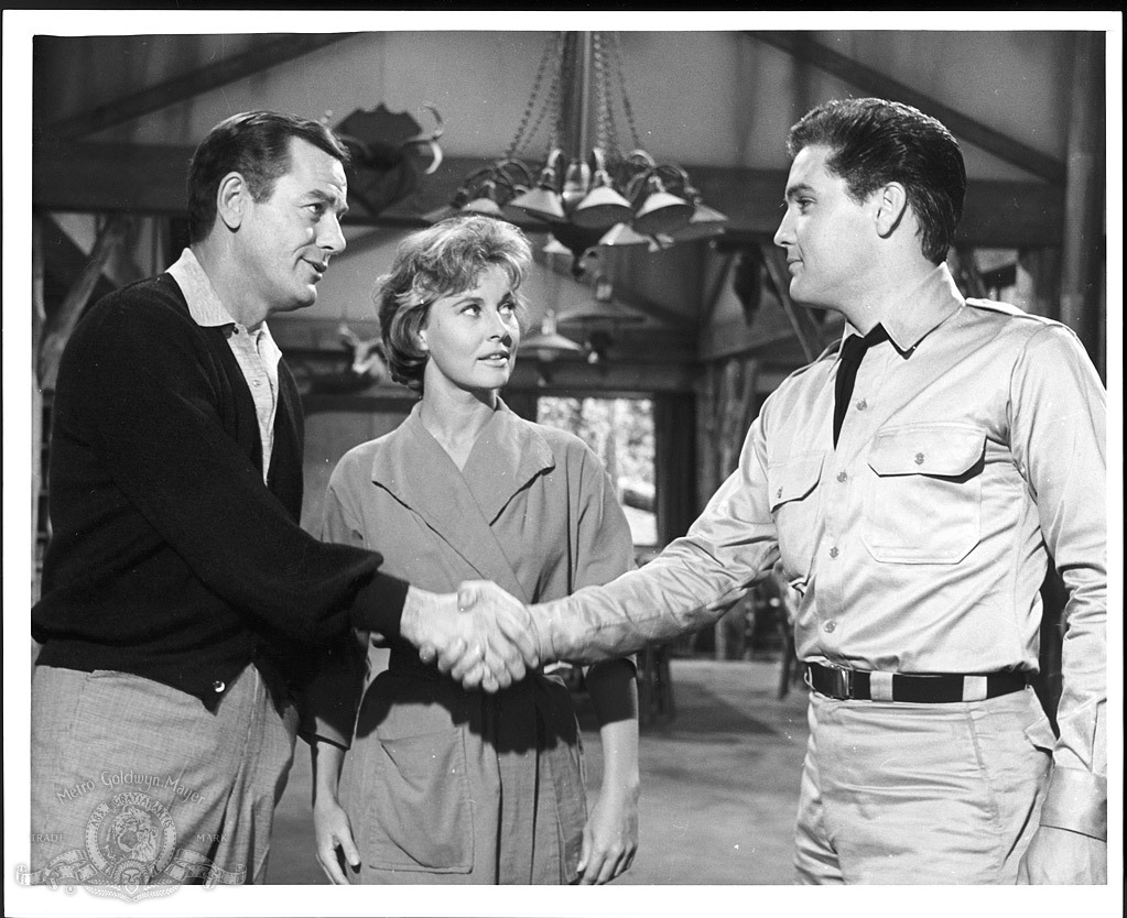 Gig Young