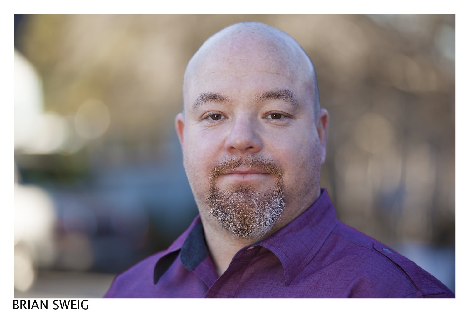 Brian M. Sweig