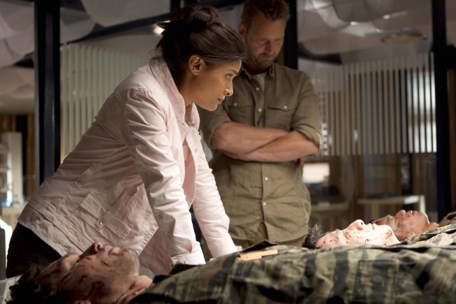 Dr. Elisabeth Shannon