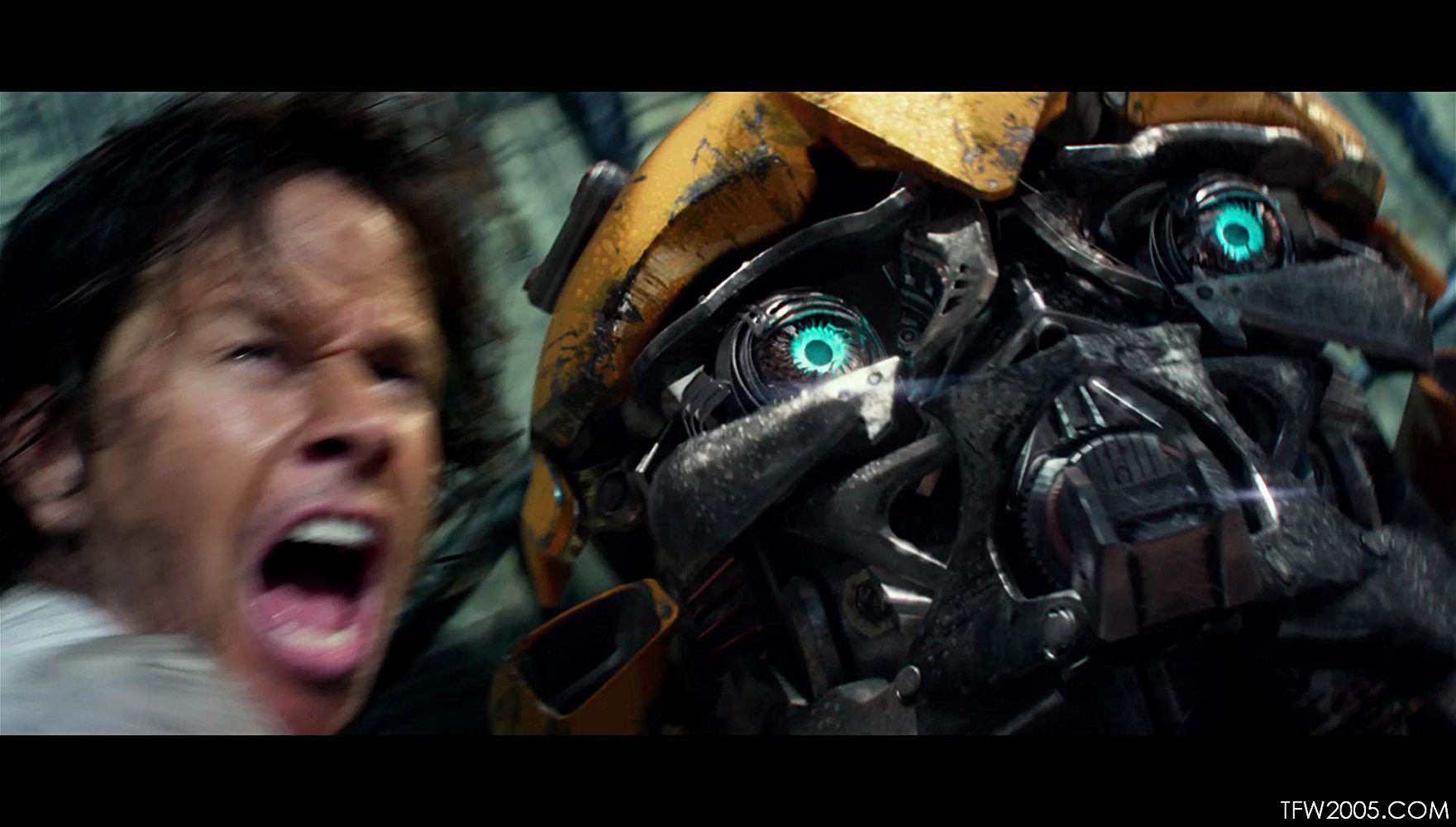 Bumblebee