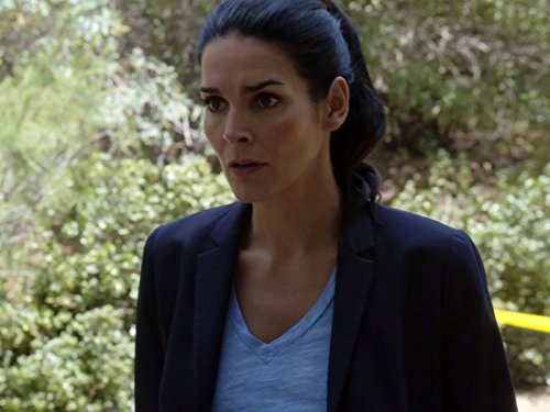 Detective Jane Rizzoli