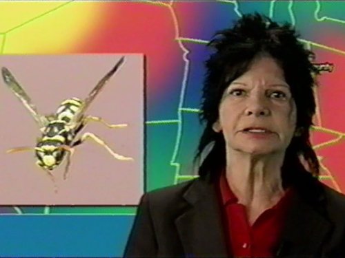 Carol Kraft
