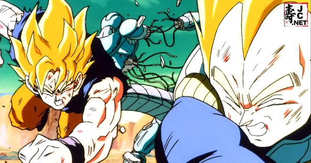 Cooler