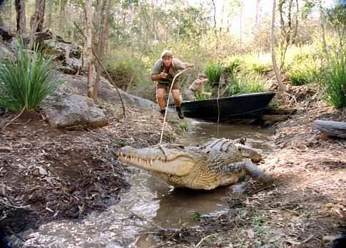 Terri Irwin