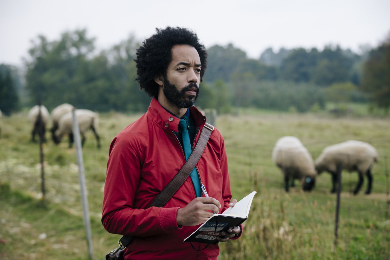 Wyatt Cenac