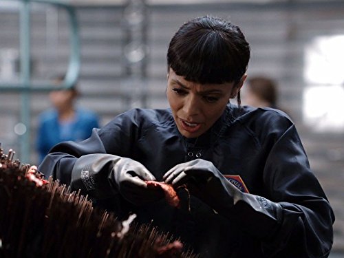 Tamara Taylor