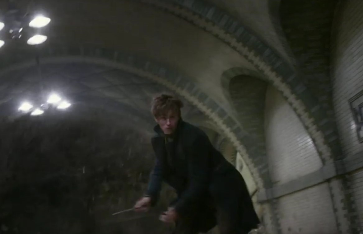 Newt Scamander