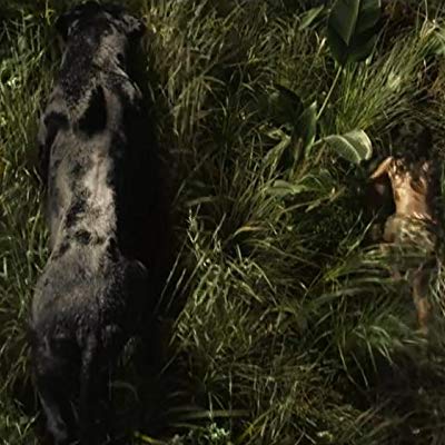 Bagheera