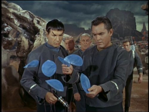 Jeffrey Hunter