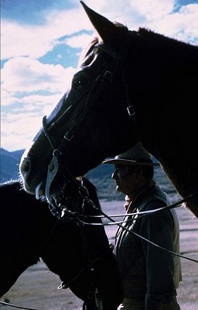John Simpson Chisum