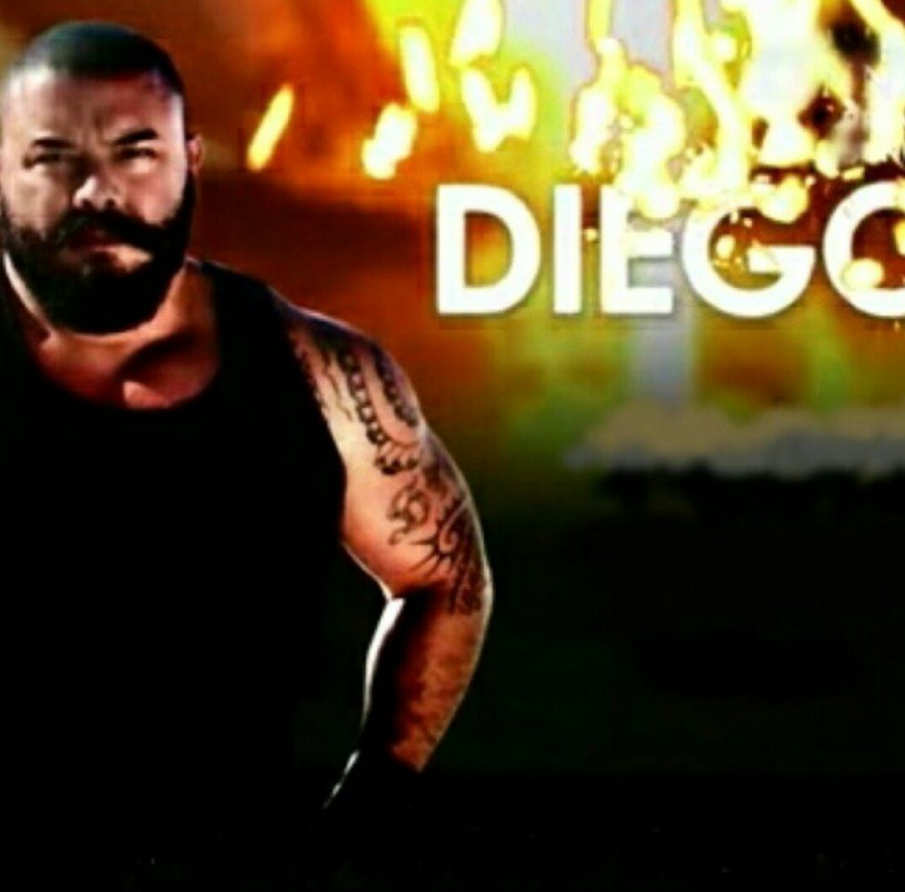 Diego Amarosa