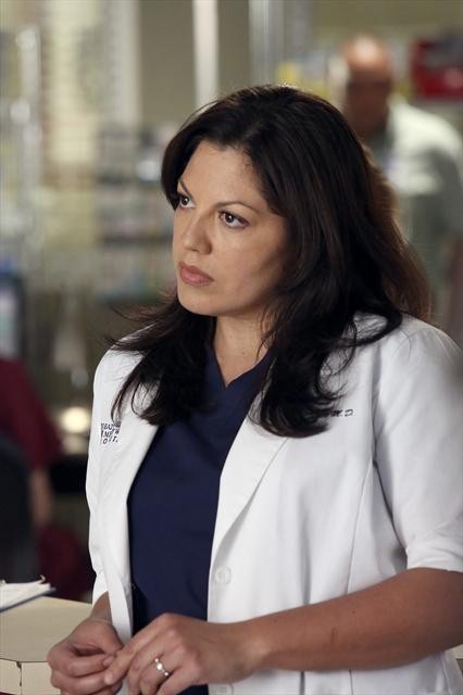 Dr. Callie Torres