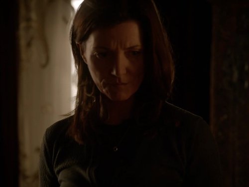 Michelle Fairley