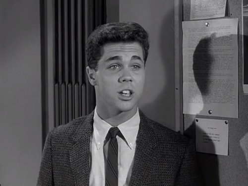 Wally Cleaver