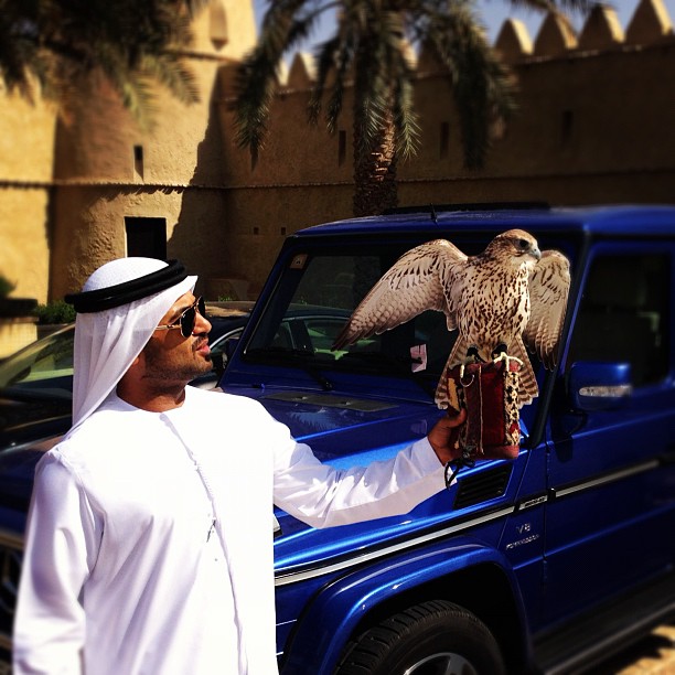 Omar Bin Haider