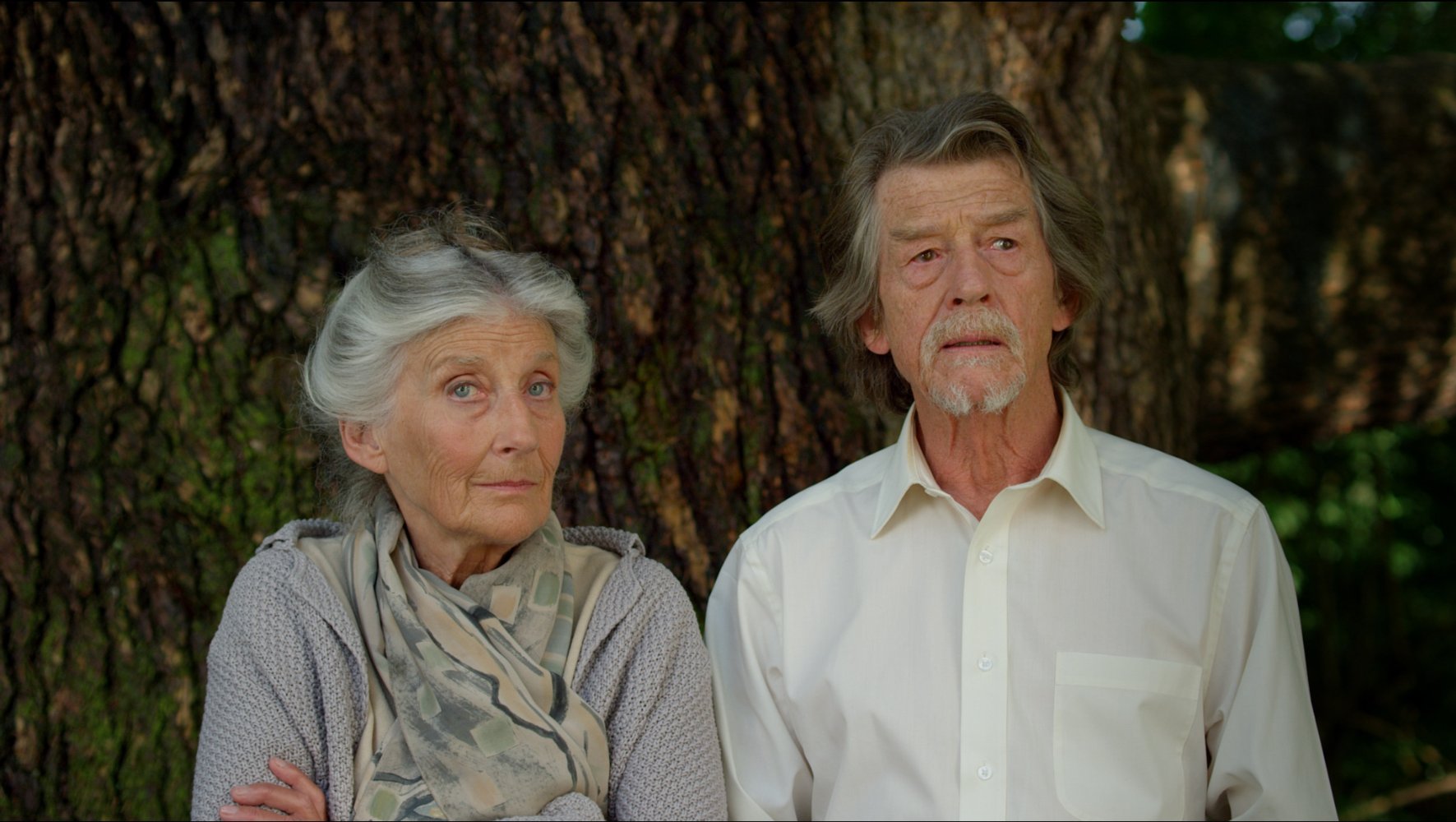 Phyllida Law