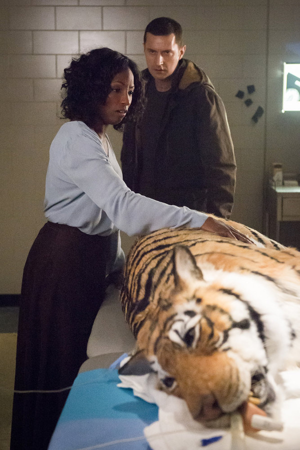 Rutina Wesley