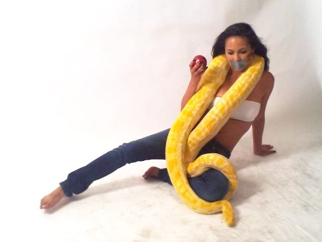 Terri Ivens