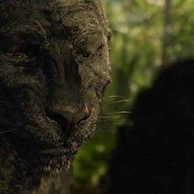 Bagheera