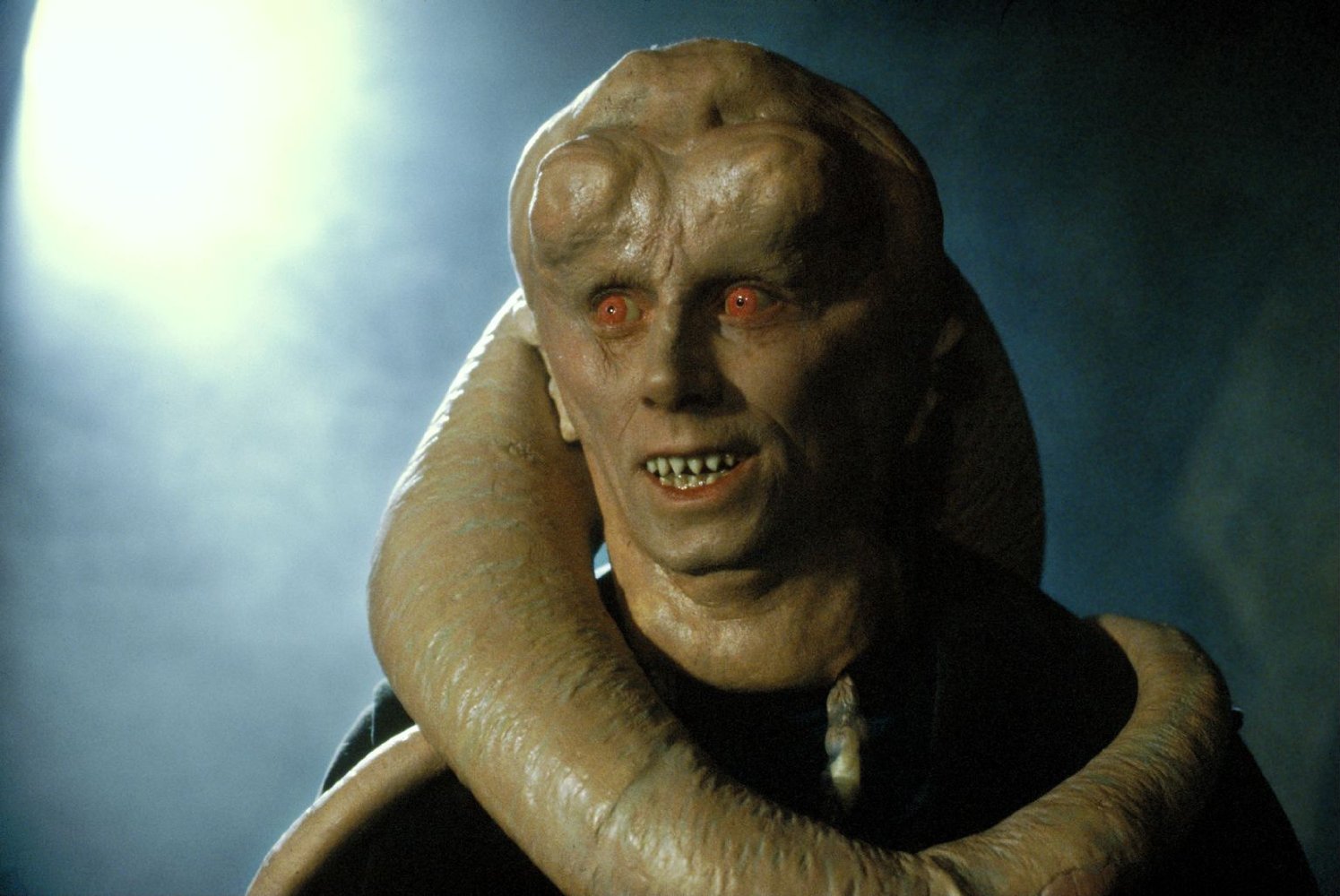 Bib Fortuna