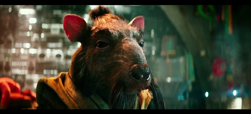 Splinter