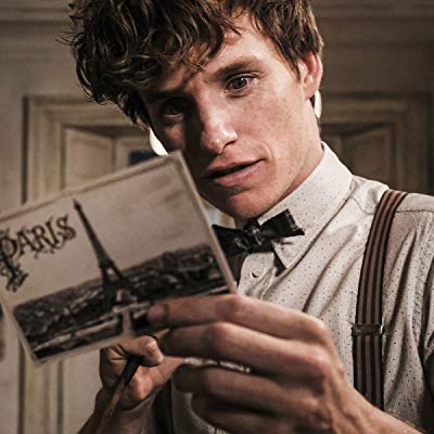 Newt Scamander
