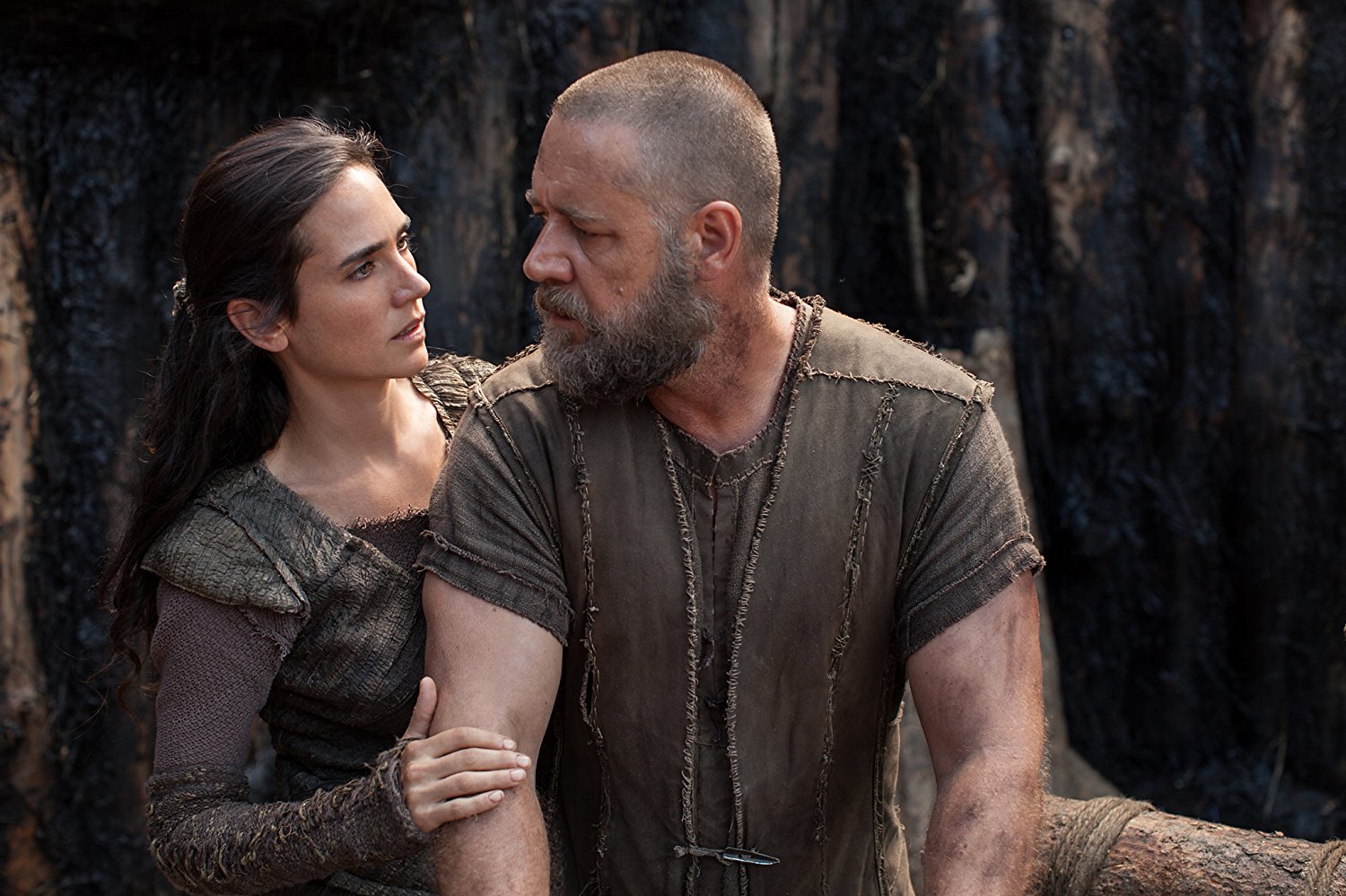 Noah's Wife