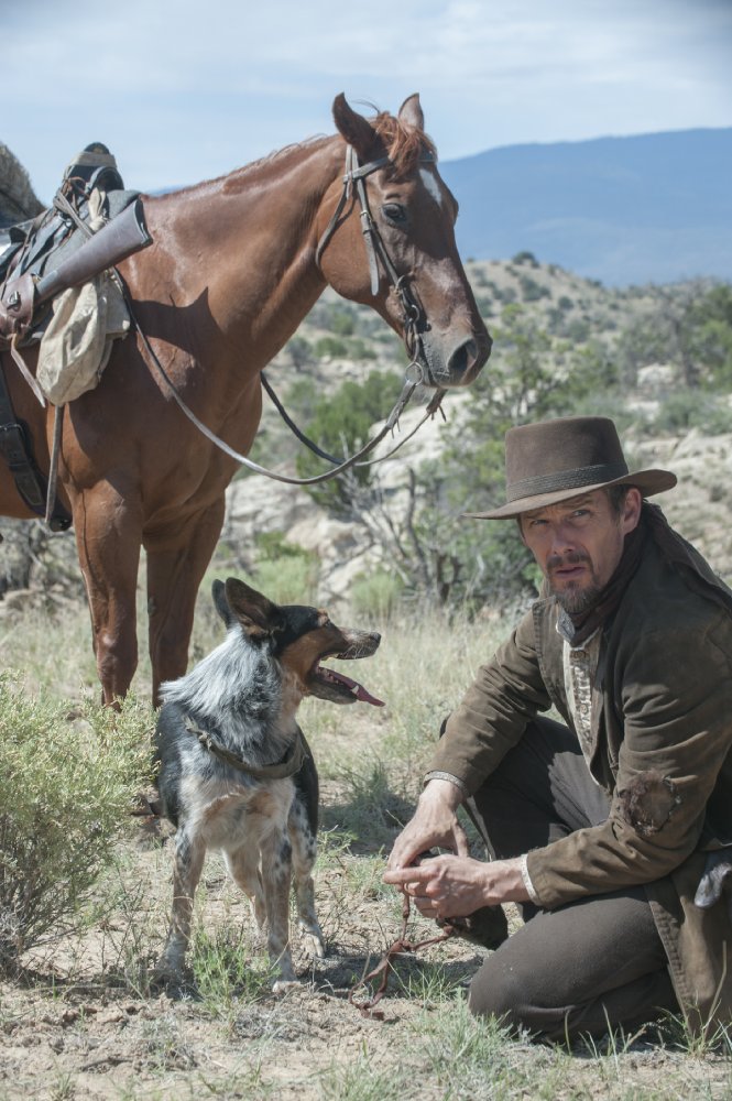 Ethan Hawke