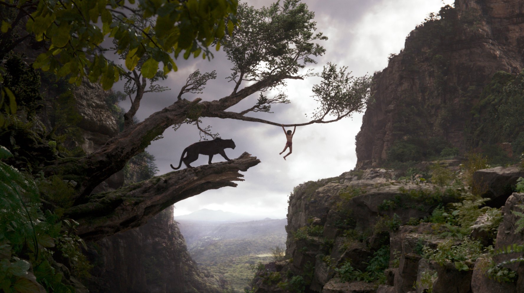Mowgli