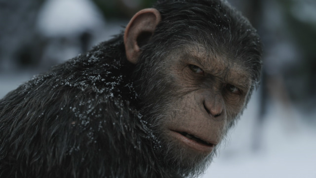 Caesar