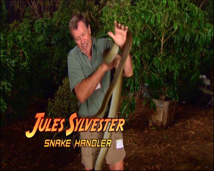 Jules Sylvester