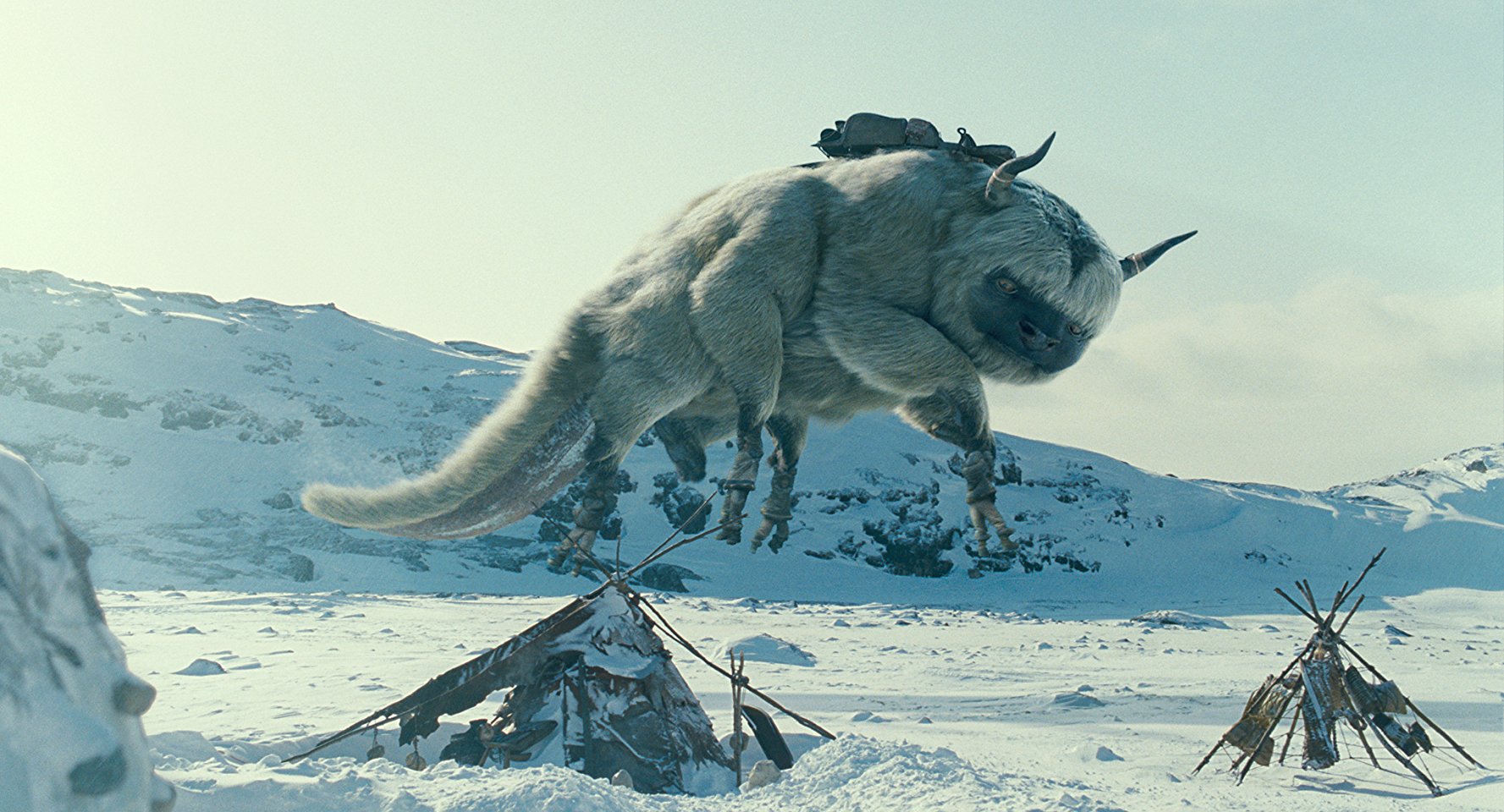 Appa