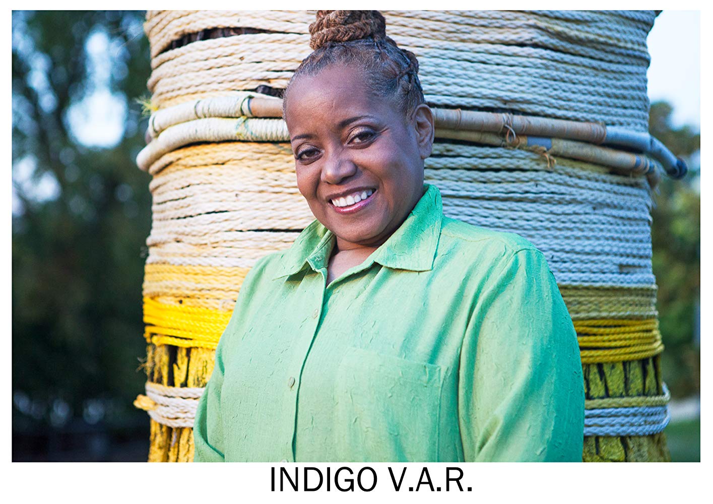 Indigo V.A.R.