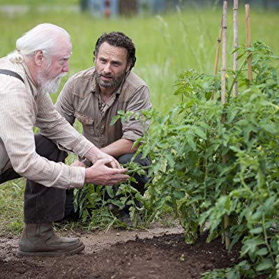Hershel Greene, Walker Hershel Greene