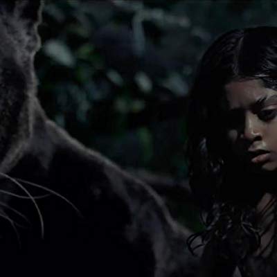 Bagheera
