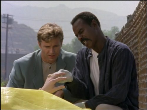 Steven Williams