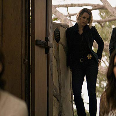 Detective Elvis Ilinca