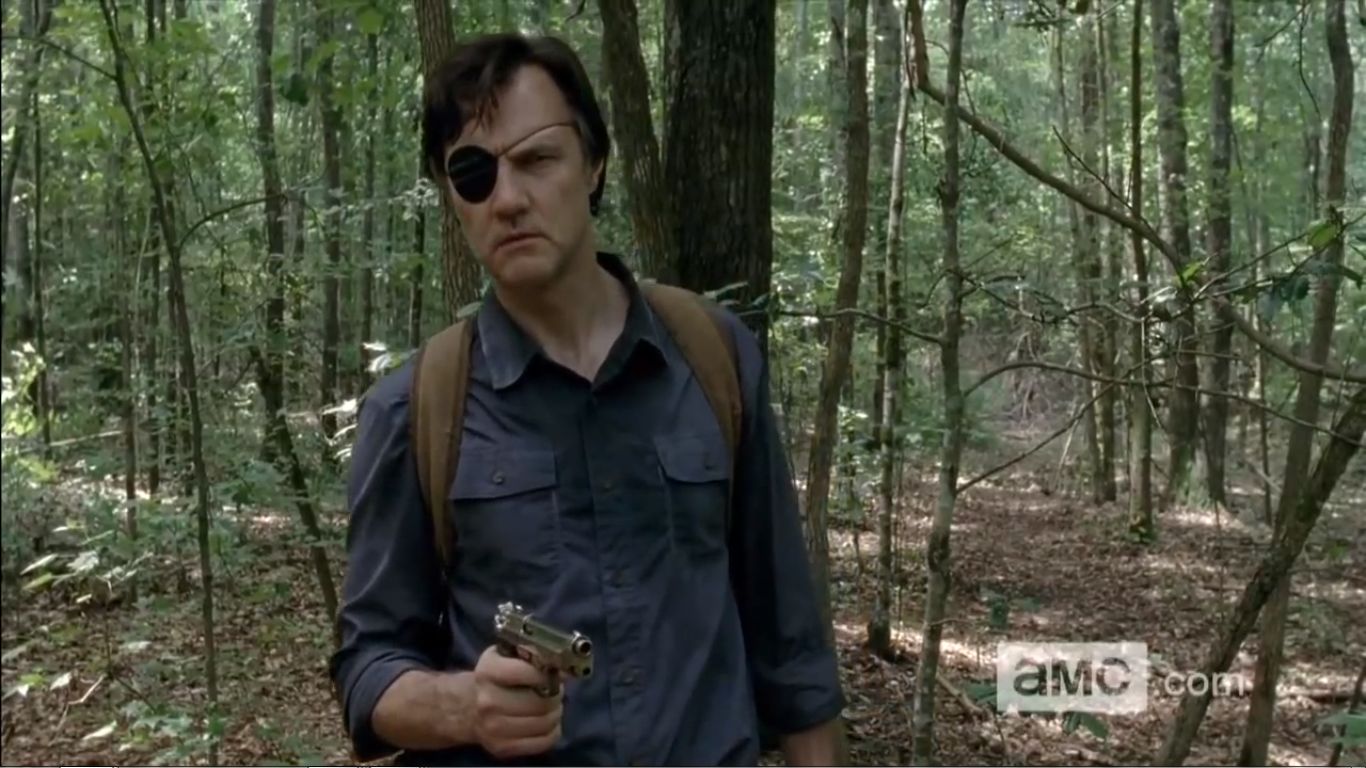 The Governor