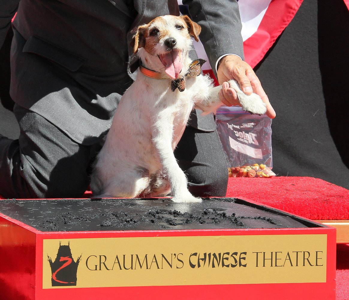 Uggie