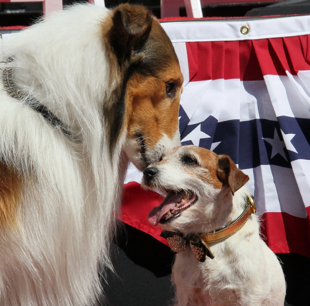 Uggie