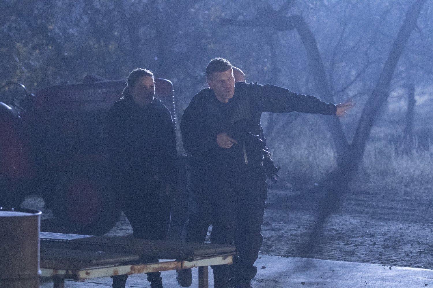 David Boreanaz
