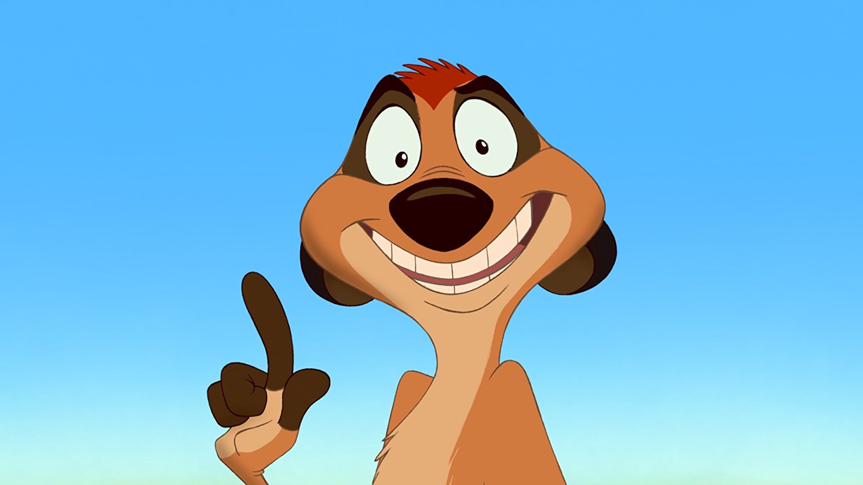 Timon