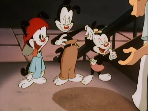 Yakko Warner