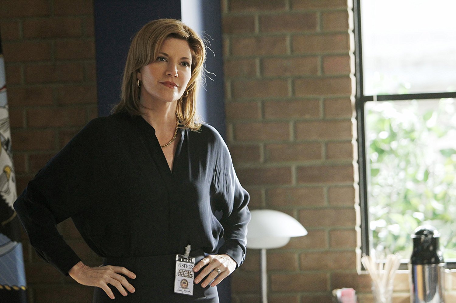 Gibbs' Ex Wife