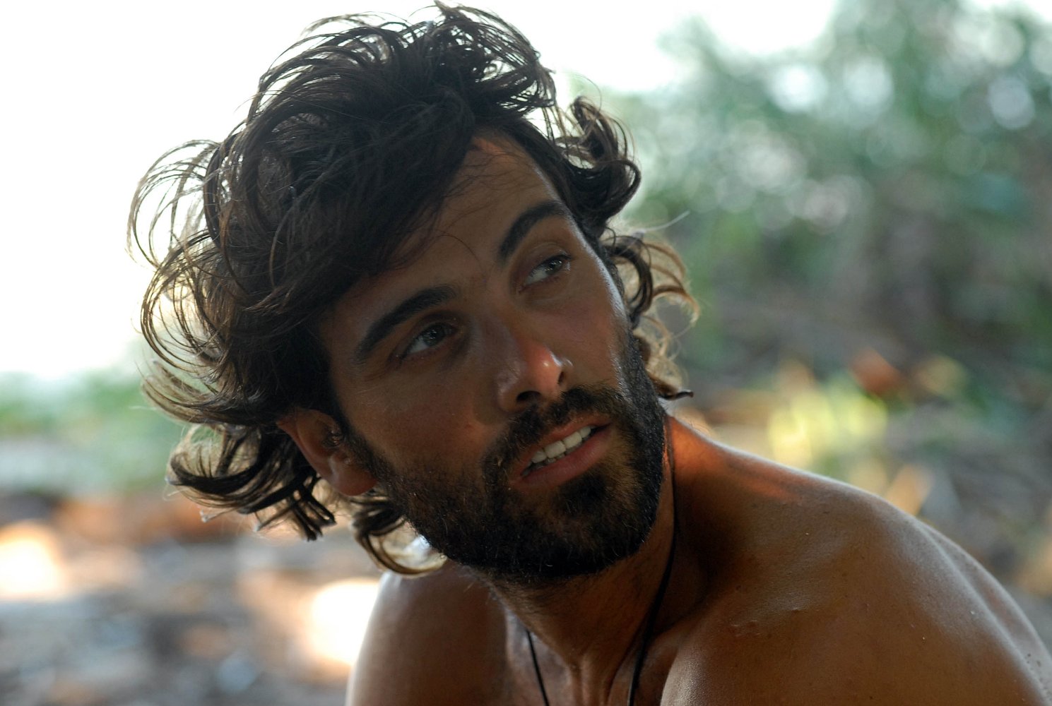 Luca Calvani