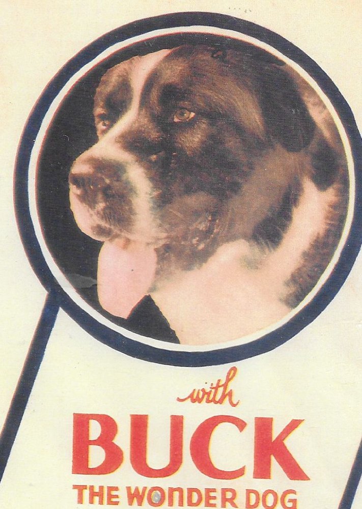 Buck