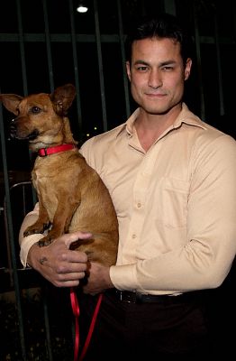 Dan Southworth