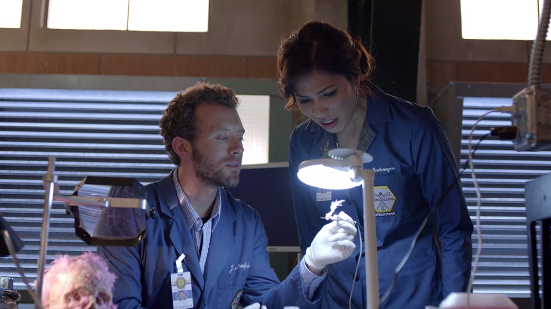 Dr. Jack Hodgins