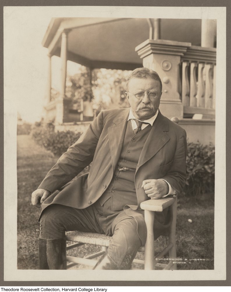 Theodore Roosevelt